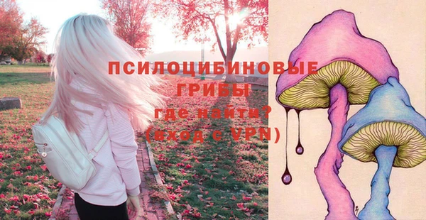 MDMA Premium VHQ Беломорск
