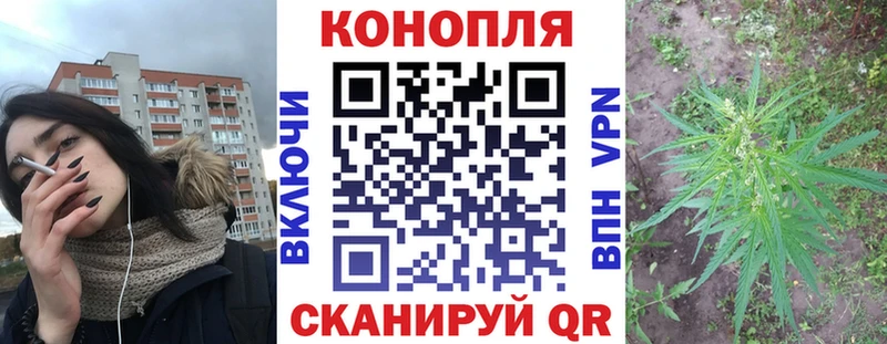 купить наркотики цена  Ленинск  Бошки Шишки ГИДРОПОН 